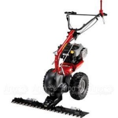 Бензиновая сенокосилка Eurosystems P-70 EVO B&S 850E Series в Калининграде