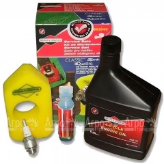 Набор для техобслуживания двигателей Briggs&Stratton Classic, Sprint 992049 в Калининграде