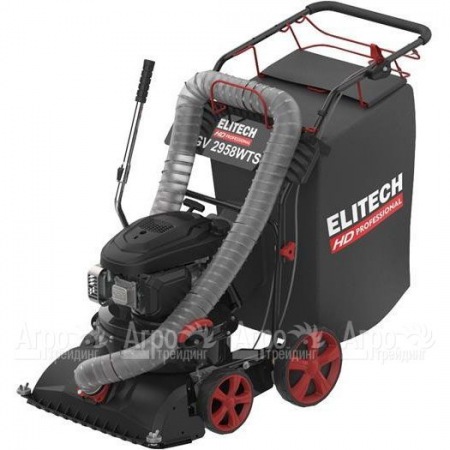 Пылесос садовый бензиновый Elitech HD GV 2958WTS (E1608.008.00) в Калининграде