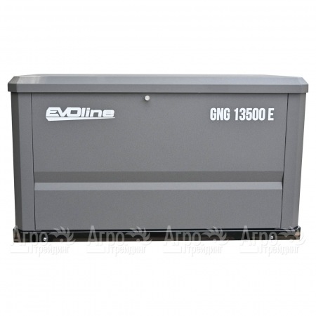 Газовый генератор EVOline GNG 13500 E 12 кВт  в Калининграде