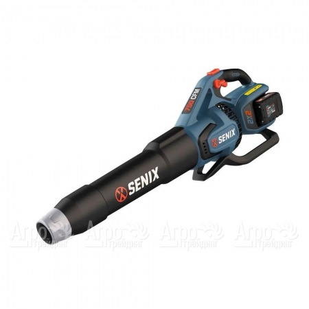 Воздуходувка аккумуляторная Senix BLAX2-M2-EU в Калининграде