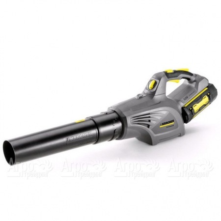 Воздуходувка аккумуляторная Karcher LB 850 Bp  в Калининграде