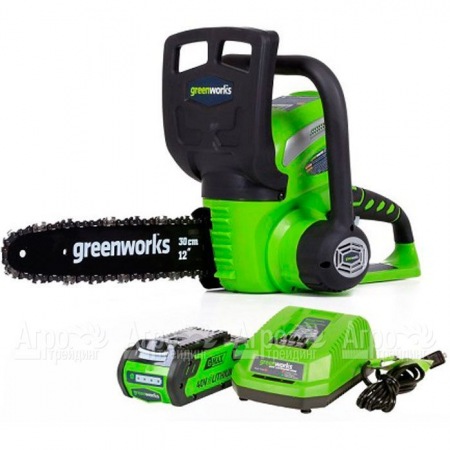 Аккумуляторная пила GreenWorks G40CS30II-12" 2 Ач в Калининграде