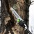 Высоторез аккумуляторный GreenWorks PS102T (без аккумулятора и зарядного устройства) в Калининграде