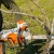 Аккумуляторная пила Stihl MSA 220 C-BQ-14" (без аккумулятора и зарядного устройства) в Калининграде