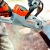 Аккумуляторная пила Stihl MSA 140 C-BQ-12 в Калининграде