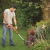 Аккумуляторный триммер Black+Decker ST1823 (2 аккумулятора) в Калининграде