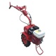 Мотоблок Салют 5Х с двигателем Honda GC160 OHC 5.5 л.с (фрезы в комплекте) в Калининграде