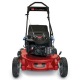 Газонокосилка бензиновая Toro 20092C в Калининграде