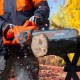 Пила цепная (электропила) Daewoo DACS 2500E-16 в Калининграде