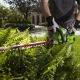 Аккумуляторный кусторез GreenWorks G-Max G40HT61K2 40V 61 см (без батареи и зарядного устройства) в Калининграде
