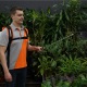 Аккумуляторный опрыскиватель Daewoo DSA 12Li SET в Калининграде
